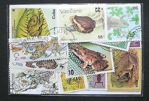 画像1: 世界のカエル 切手セット25