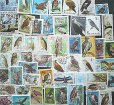 画像2: 世界の鳥、フクロウ切手、タカ切手などセット50 (2)