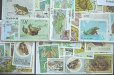 画像2: 世界のカエル 切手セット25 (2)