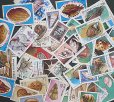 画像2: 世界の貝など切手セット50 (2)