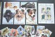 画像3: 世界の 犬 切手　500種　 (3)