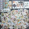 画像1: 世界の 犬 切手　500種　 (1)