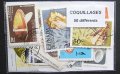 世界の貝など切手セット50
