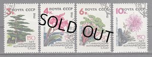 画像1: ロシア　旧ソ連切手　1962年　植物園　花　4種