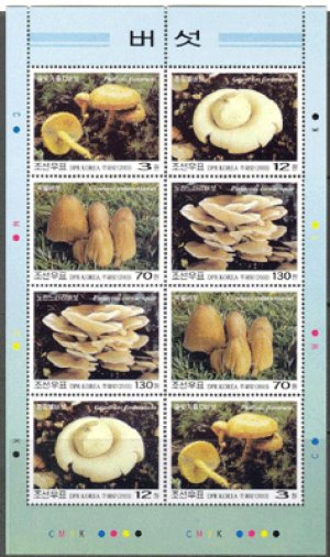 画像2: 北朝鮮切手　2003年　キノコ4種