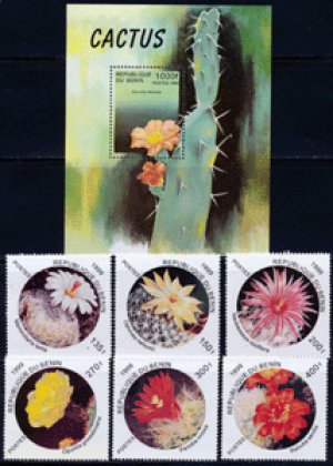 画像1: ベナン切手　1999年　サボテン　7種　【小型シート含む】