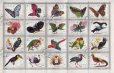 画像1: アラブ首長国連邦 フジャイラ　　1972年　鳥　蝶　インコ　20種 (1)
