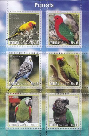 画像1: エリトリア切手　2017年　インコ　鳥　6種　シート