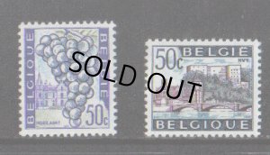 画像1: ベルギー切手　1965年　観光　フーイラールト　ユイ　2種