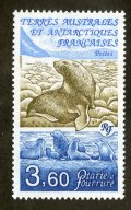 フランス領南極地域切手　　1991年　オタリア　アシカ　1種