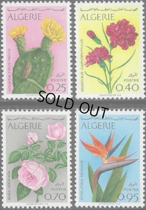 画像1: アルジェリア切手 1969年 ウチワサボテン 花　バラ　カーネーション ゴクラクチョウカ 4種