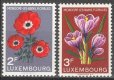 画像1: ルクセンブルク切手　1956年　花　モンドルフレバンフラワーフェスティバル　2種 (1)