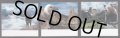 スペイン切手  2010年　ロス・ピコス・デ・ヨーロッパ国立公園　モンフラグエ国立公園　シロエリハゲワシ　シエラネバダ山脈　ピレネーアイベックス　3種