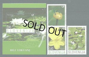 画像1: スロベニア切手　2007年　セイヨウスイレン  水生植物　小型シート セット