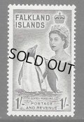 フォークランド諸島切手　 1959年　ジェンツーペンギン　エリザベスII　1種　