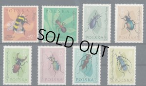 画像1: ポーランド切手　1961年　昆虫　　ヨーロッパミヤマクワガタ　