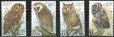 画像1: ベルギー切手 1999年　フクロウ　4種　 (1)