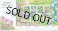 ジャージー島 切手 2006年　野の花　ワイルドアンジェリカ　FDC【切手と記念印スタンプが付いた記念封筒】