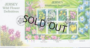 画像1: ジャージー島 切手 2006年　野の花　ワイルドアンジェリカ　FDC【切手と記念印スタンプが付いた記念封筒】
