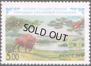 画像1: プレゼント☆(*^ - ^*)！　ロシア切手　1999年　自然保護区　ヨーロッパバイソン　1種
