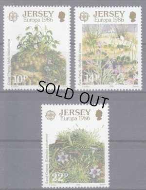 画像1: ジャージー島 切手1986年　環境保護　花　植物　3種
