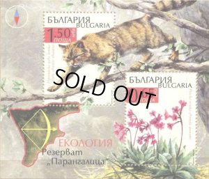 画像1: ブルガリア切手　2012年　自然保護区パランガリカ、リラ山脈　中央ヨーロッパヤマネコ　小型シート