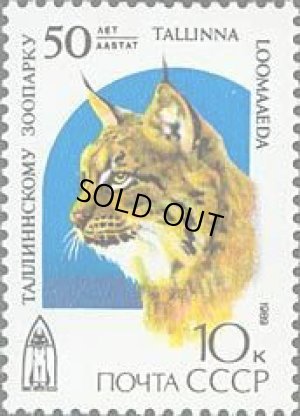 画像1: ロシア　旧ソ連切手 1989年　タリン動物園、50周年　オオヤマネコ　1種