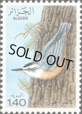 アルジェリア切手　1979年　鳥　ゴジュウカラ　1種