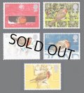 イギリス切手　1995年　クリスマス　鳥　ヨーロッパコマドリ 　5種