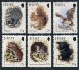 画像1: ジャージー島 切手 1999年　リス　ハリネズミ　動物　6種 (1)