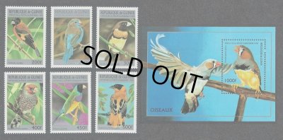 画像1: ギニア切手　1996年　鳥　オオイッコウチョウ　コキンチョウ　7種　小型シート