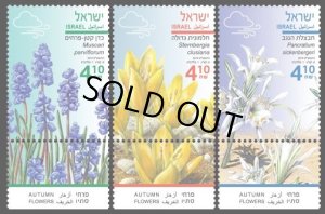 画像1: イスラエル切手　2019年　秋 花　植物　3種