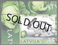 ラトビア切手 2011年 アナウサギ 旧正月 ウサギの年 1種