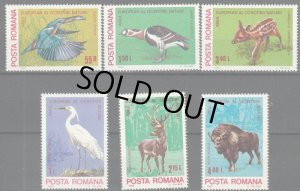 画像1: ルーマニア切手　1980年　ヨーロッパ自然保護年　鳥　6種