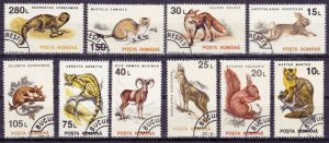 画像1: ルーマニア切手　1993年　動物 哺乳類　ヨーロッパジェネット　全10種