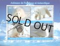 コンゴ切手　2018年　北極および南極の動物　ホッキョクグマ　ペンギン　小型シート