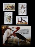 画像2: ドミニカ国切手　1985年　オーデュボン生誕200年　鳥　5種　小型シート (2)