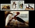 画像1: ドミニカ国切手　1985年　オーデュボン生誕200年　鳥　5種　小型シート (1)