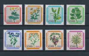画像1: ポルトガル　アゾレス切手　1981-82年　植物　アゾレス地方の花　8種