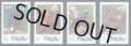 パラオ切手  1995年　鳥　絶滅危惧種の鳥　4種　