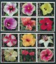 画像2: ノーフォーク島切手　2005年　ハイビスカスの品種　花　12種 (2)