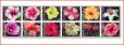 画像1: ノーフォーク島切手　2005年　ハイビスカスの品種　花　12種 (1)