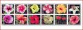 ノーフォーク島切手　2005年　ハイビスカスの品種　花　12種