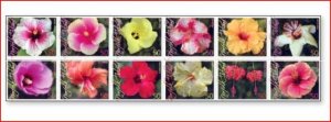 画像1: ノーフォーク島切手　2005年　ハイビスカスの品種　花　12種