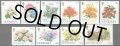 ガーンジー島切手 1993年　花　園芸の輸出　ガーンジーの花　10種