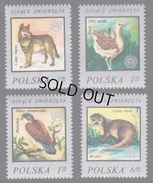 画像1: ポーランド切手　1977年　野生生物の保護　鳥　フクロウ　4種