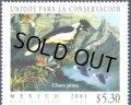 メキシコ切手　2001年　鳥　フサエボシルリサンジャク　1種
