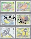 ジャージー島 切手  2007年　ズアオアトリ 　鳥　ジャージーバードライフ　第1シリーズ　6種