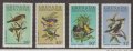 グレナダ領　グレナダデーン諸島切手 　1980年　鳥　フナシマネシツグミ　4種