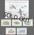 タークス・カイコス諸島切手　1980年 エキゾチックな鳥　オビハシカイツブリ　小型シート
